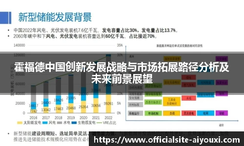 霍福德中国创新发展战略与市场拓展路径分析及未来前景展望