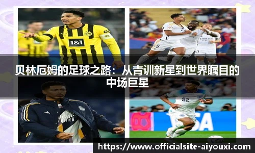 爱游戏官方入口